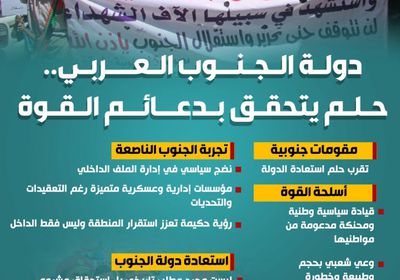 دولة الجنوب العربي.. حلم يتحقق بدعائم القوة (إنفوجراف)