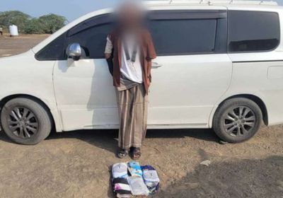 القبض على متهم بمحاولة تهريب كمية من الحشيش في أبين