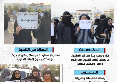 الجنوب لم يضح ليعيش في الظلام والعطش (إنفوجراف)