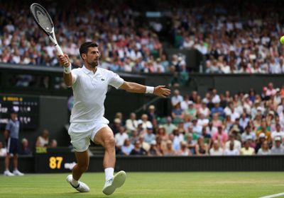 هوركاتش ينسحب من بطولة ويمبلدون للإصابة