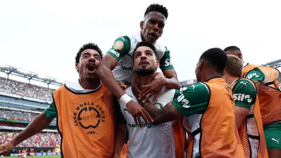 موعد مباراة بالميراس وبوتافوجو بمونديال الأندية