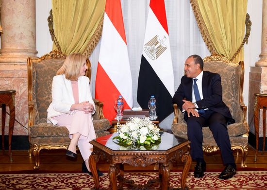 وزير الخارجية المصري يجرى مشاورات سياسية مع نظيرته النمساوية