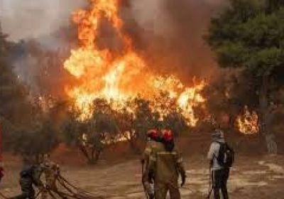 فرق الإطفاء تكافح للسيطرة على حرائق غابات في تركيا لليوم الثاني