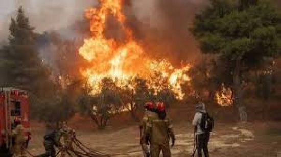 فرق الإطفاء تكافح للسيطرة على حرائق غابات في تركيا لليوم الثاني