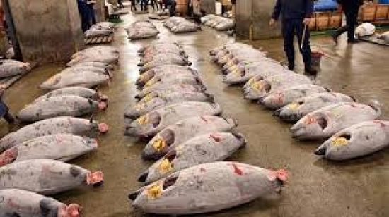 الصين تستأنف استيراد المأكولات البحرية من اليابان