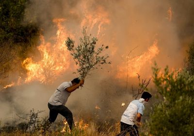 حرائق الغابات تندلع في تركيا وفرنسا مع بداية موجة حر مبكرة