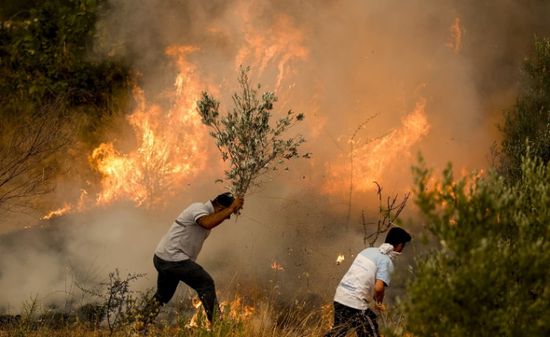 حرائق الغابات تندلع في تركيا وفرنسا مع بداية موجة حر مبكرة