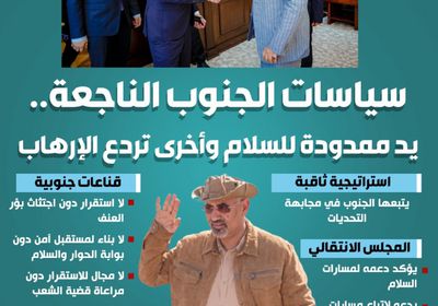 سياسات الجنوب الناجعة.. يد ممدودة للسلام وأخرى تردع الإرهاب (إنفوجراف)