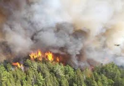 المسيّرات تساعد في إعادة تحريج كندا بمواجهة الحرائق