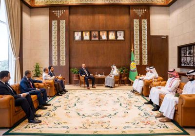 الرئيس الزُبيدي: دور محوري لدول مجلس التعاون في إحلال السلام