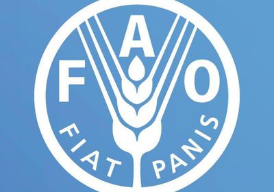 الفاو: أسعار الغذاء العالمية ارتفعت بشكل طفيف في يونيو