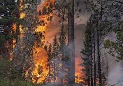 اندلاع حريق جديد بالقرب من أثينا