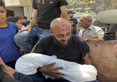 وزير الخارجية المصري ومبعوث ترامب يناقشان تحضيرات مفاوضات إسرائيل وحماس