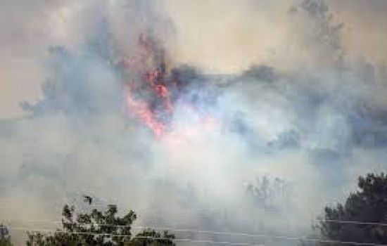 فرق إطفاء أردنية تدعم جهود مكافحة الحرائق في غرب سوريا