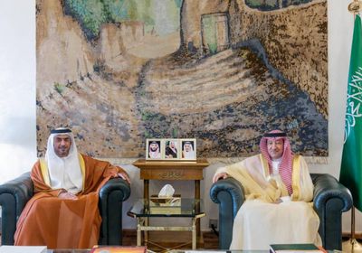 نائب وزير الخارجية السعودي يستقبل سفير الإمارات لدى المملكة في الرياض