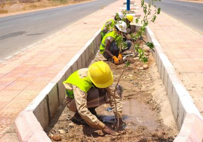 أعمال تشجير بعدد من الشوارع الرئيسية في عتق