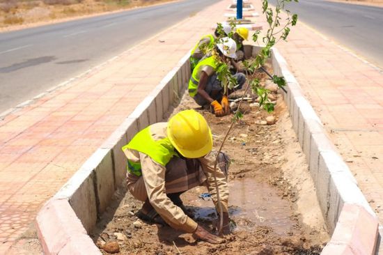 أعمال تشجير بعدد من الشوارع الرئيسية في عتق