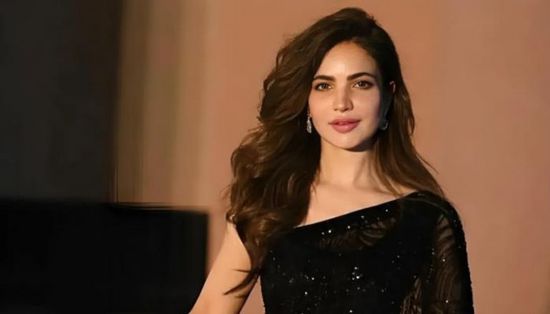 وفاة غامضة لفنانة مشهور.. الشرطة تكتشف جثتها أثناء تنفيذ أمر قضائي