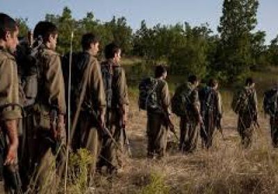 نزع سلاح حزب العمال الكردستاني سيستغرق بضعة أشهر