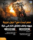 مصر تبحث مع 7 دول عربية جهود وقف إطلاق النار في غزة (إنفوجراف)