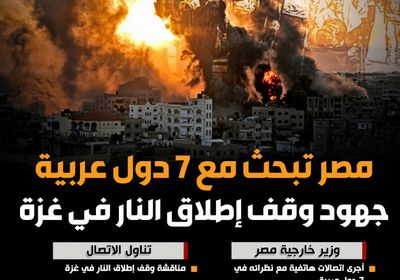 مصر تبحث مع 7 دول عربية جهود وقف إطلاق النار في غزة (إنفوجراف)