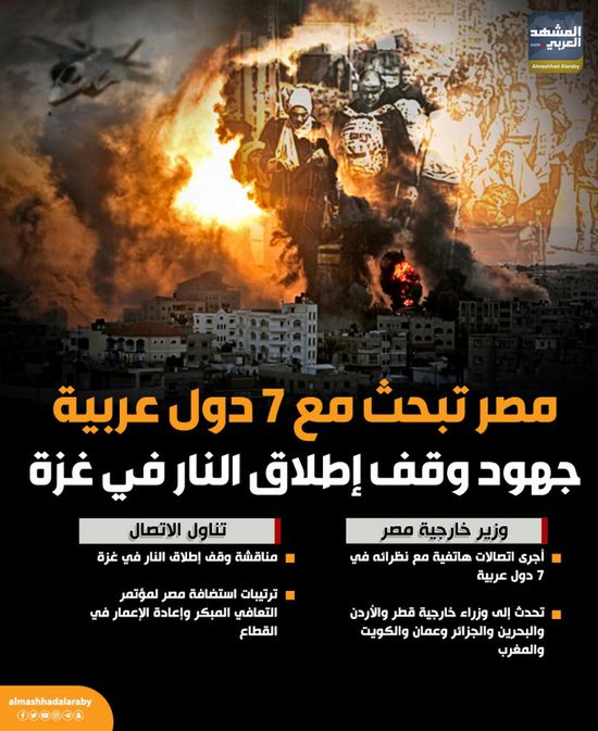 مصر تبحث مع 7 دول عربية جهود وقف إطلاق النار في غزة (إنفوجراف)