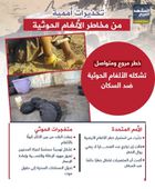 تحذيرات أممية من مخاطر الألغام الحوثية (إنفوجراف)