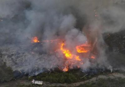 توقف امتداد النيران في غابات اللاذقية