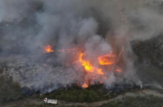 توقف امتداد النيران في غابات اللاذقية