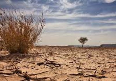 فقد الأراضي الرطبة ينذر بخسائر تصل إلى 39 تريليون دولار