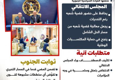 المجلس الانتقالي.. نجاحات تخدم مسار قضية شعب الجنوب (إنفوجراف)