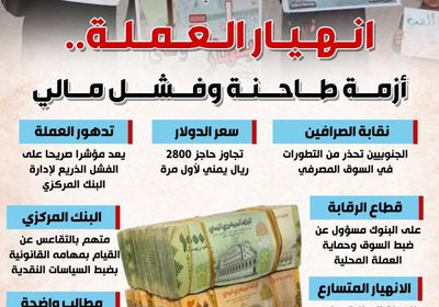 انهيار العملة.. أزمة طاحنة وفشل مالي (إنفوجراف)