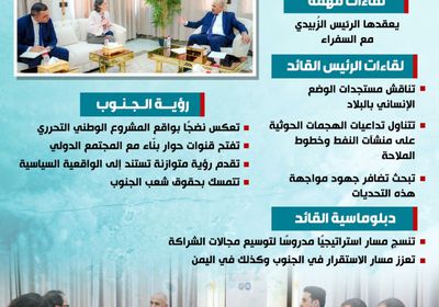 لقاءات الرئيس الزُبيدي مع السفراء.. تحركات دبلوماسية تعزز الشراكة (إنفوجراف)