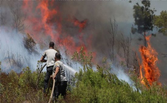 الدفاع السورية: ضبط مجموعة من فلول الأسد في ريف اللاذقية