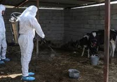 30 وفاة بالحمى النزفية في العراق منذ مطلع العام