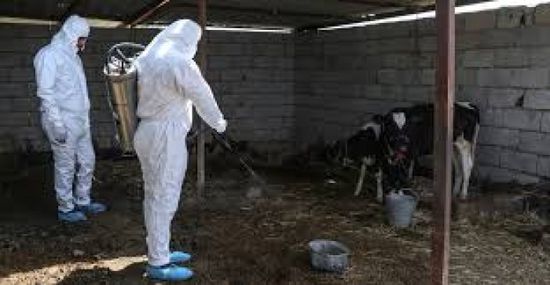 30 وفاة بالحمى النزفية في العراق منذ مطلع العام