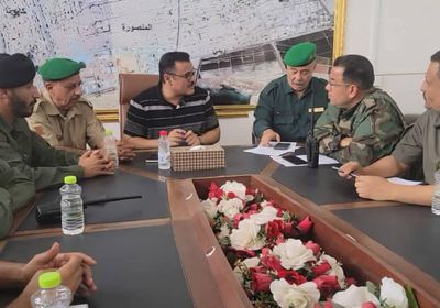 مديرية المنصورة تستعد بحملة لمواجهة الربط المزدوج للتيار الكهربائي