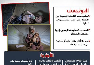 إغماءات وسوء تغذية.. ماذا قالت المنظمات الدولية عن ضحايا الجوع في غزة؟ (إنفوجراف)