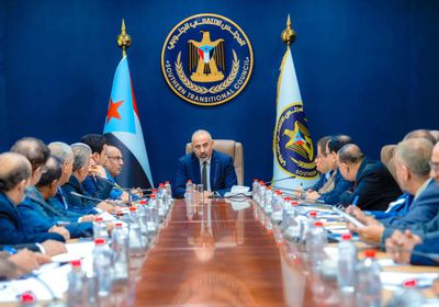 رئيس الانتقالي يشكل لجان رقابة على أداء الهيئات المحلية 