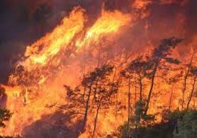 مصرع 10 رجال إطفاء في احتواء حريق بتركيا