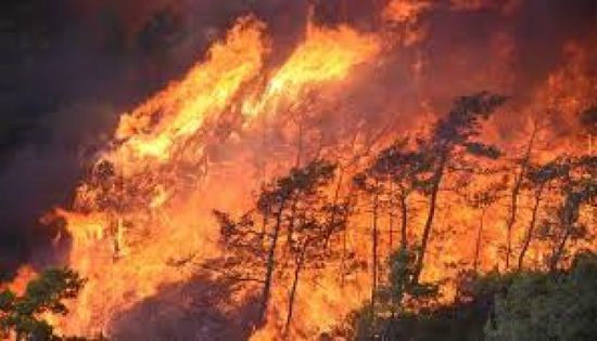 مصرع 10 رجال إطفاء في احتواء حريق بتركيا