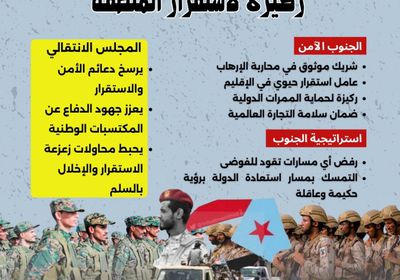 أمن الجنوب.. ركيزة استقرار المنطقة (إنفوجراف)