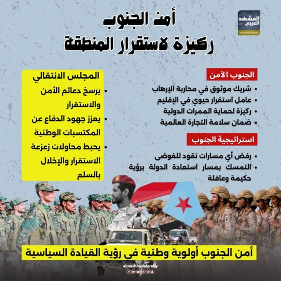 أمن الجنوب.. ركيزة استقرار المنطقة (إنفوجراف)