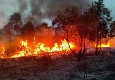 تركيا تجلي الآلاف من السكان بسبب حرائق الغابات