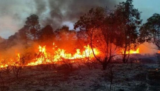 تركيا تجلي الآلاف من السكان بسبب حرائق الغابات