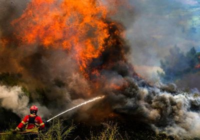 البرتغال تكافح حرائق غابات في أنحاء مختلفة من البلاد