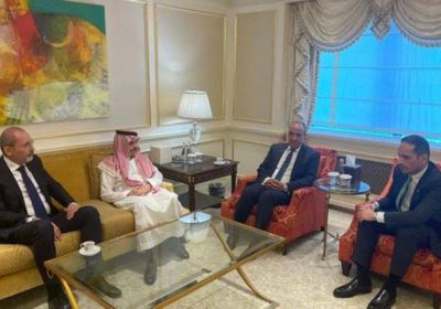 4 وزراء خارجية عرب يناقشون الأوضاع المأساوية في غزة