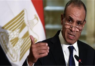 وزير الخارجية المصري يستعرض مع مبعوث ترامب الانتهاكات الإسرائيلية في غزة