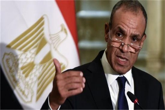وزير الخارجية المصري يستعرض مع مبعوث ترامب الانتهاكات الإسرائيلية في غزة