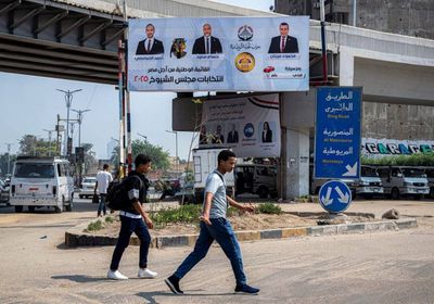 اليوم.. المصريون في الخارج يختارون أعضاء مجلس الشيوخ